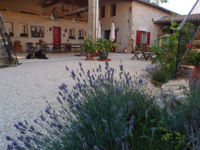 Bed and Breakfast Ferme Robin Marsaz Exteriér fotografie